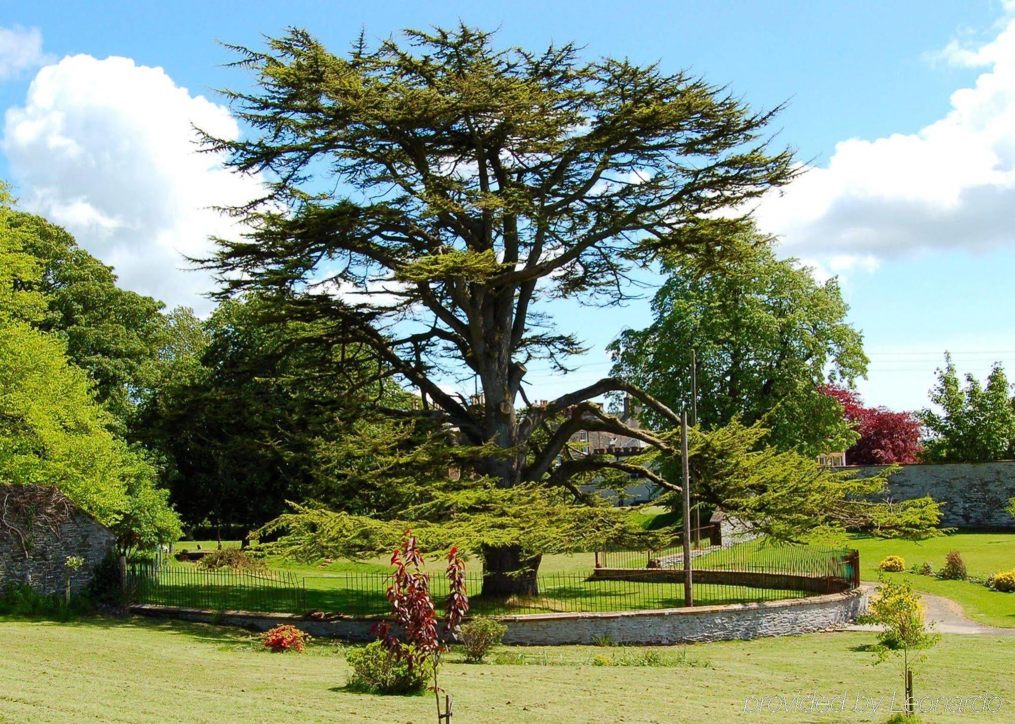 The Urr Valley Country House Hotel Castle Douglas Exterior photo